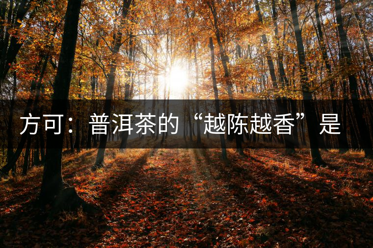 方可：普洱茶的“越陳越香”是有條件、有技術(shù)的