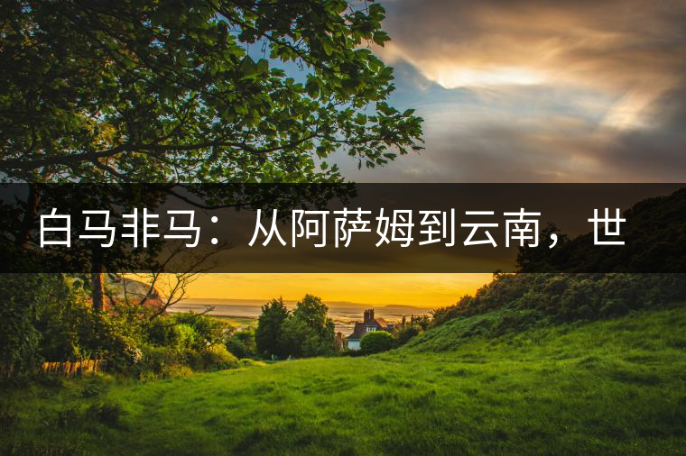 白馬非馬：從阿薩姆到云南，世界茶樹(shù)起源爭(zhēng)論的誤區(qū)