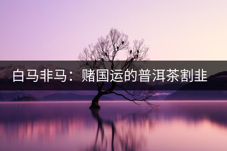 白馬非馬:賭國運(yùn)的普洱茶割韭菜運(yùn)動(dòng) 白馬非馬:賭國運(yùn)的普洱茶割韭菜運(yùn)動(dòng)