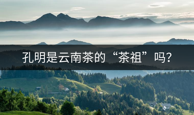 孔明是云南茶的“茶祖”嗎？