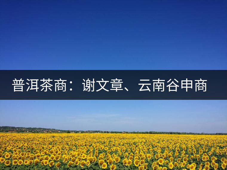 普洱茶商：謝文章、云南谷申商貿(mào)有限公司總經(jīng)理