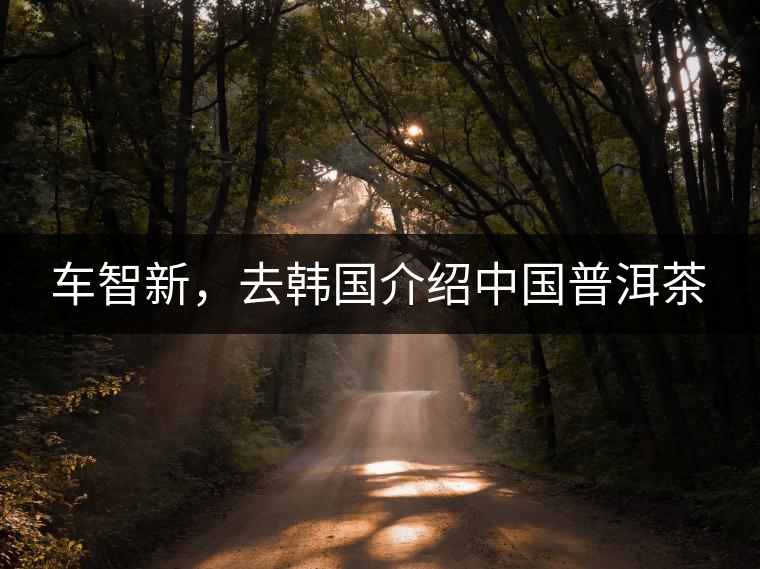 車智新，去韓國介紹中國普洱茶