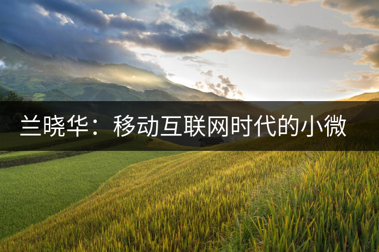 蘭曉華：移動(dòng)互聯(lián)網(wǎng)時(shí)代的小微企業(yè)創(chuàng)新活力