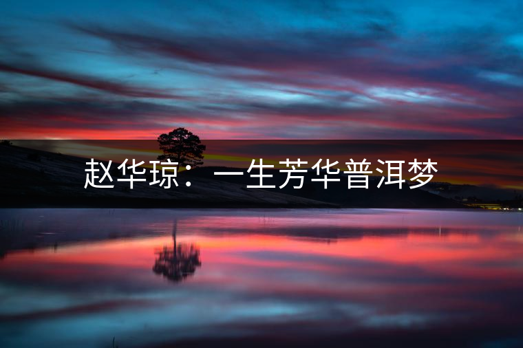 趙華瓊：一生芳華普洱夢