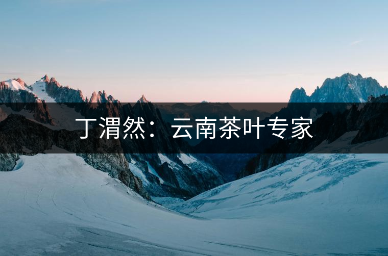 丁渭然:云南茶葉專家 丁渭然:云南茶葉專家