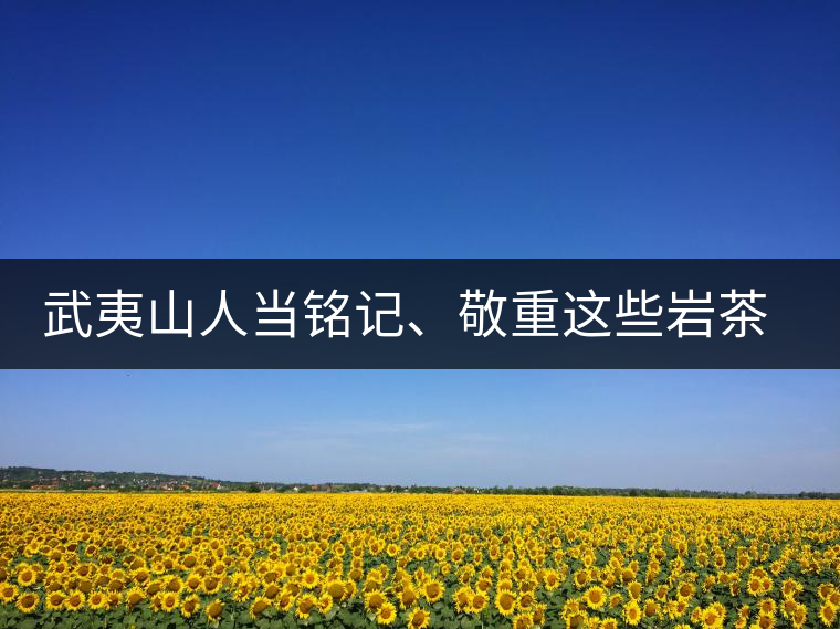 武夷山人當(dāng)銘記、敬重這些巖茶功臣