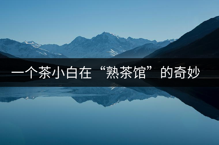 一個茶小白在“熟茶館”的奇妙體驗之旅