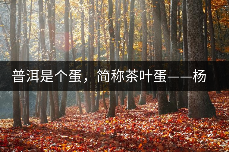 普洱是個(gè)蛋，簡(jiǎn)稱茶葉蛋——楊鎮(zhèn)瑜訪談錄