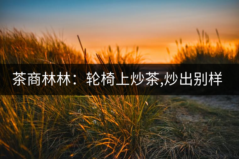 茶商林林：輪椅上炒茶,炒出別樣的一生！