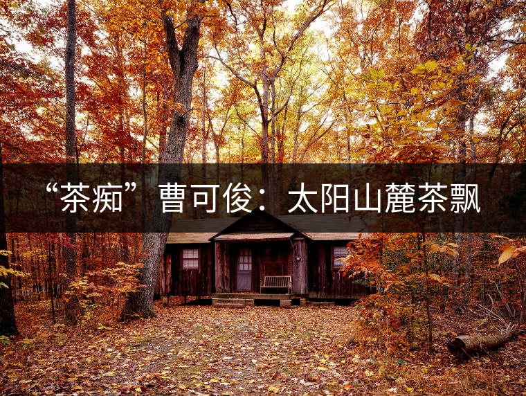 “茶癡”曹可?。禾柹铰床栾h香，清明時節(jié)采茶忙