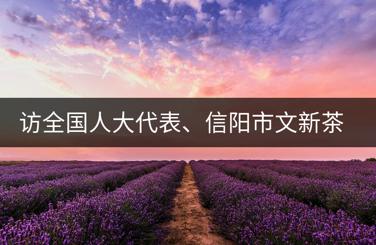 訪全國(guó)人大代表、信陽(yáng)市文新茶葉有限責(zé)任公司董事長(zhǎng)劉文新