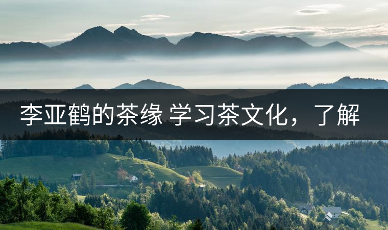 李亞鶴的茶緣 學(xué)習(xí)茶文化，了解茶文化，品味茶文化