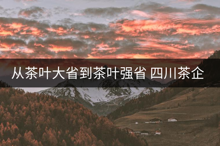 從茶葉大省到茶葉強省 四川茶企路在何方 從茶葉大省到茶葉強省 四川茶企路在何方