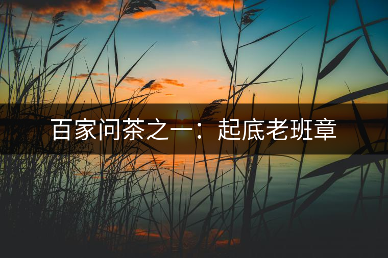 百家問茶之一:起底老班章 百家問茶之一:起底老班章