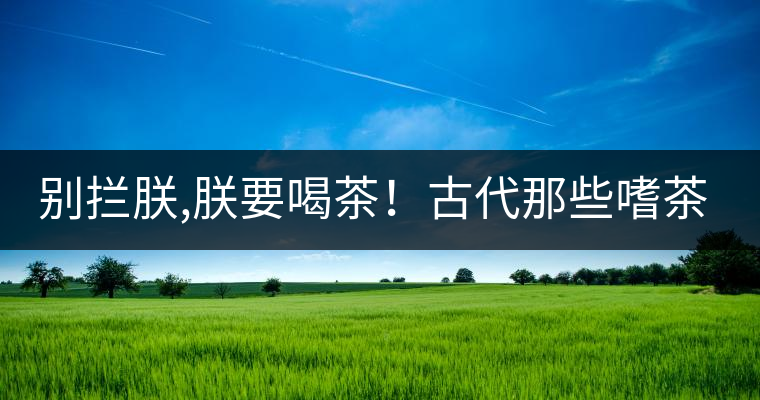 別攔朕,朕要喝茶！古代那些嗜茶如命的皇帝