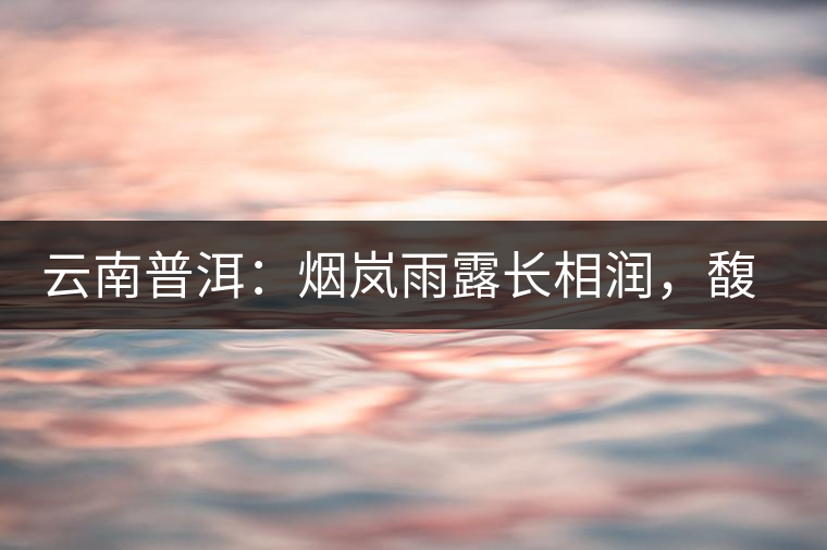 云南普洱：煙嵐雨露長(zhǎng)相潤(rùn)，馥郁芳香久久留
