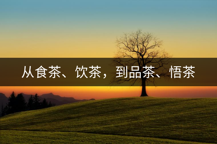 從食茶、飲茶，到品茶、悟茶