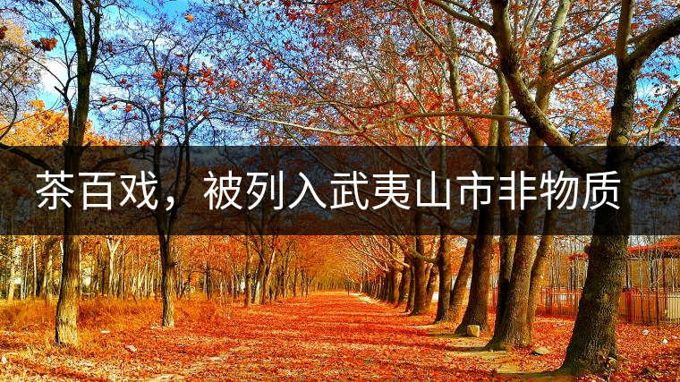 茶百戲，被列入武夷山市非物質(zhì)文化遺產(chǎn)的茶湯