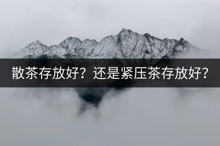 散茶存放好？還是緊壓茶存放好？