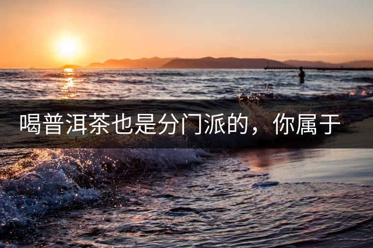 喝普洱茶也是分門派的，你屬于哪派呢？