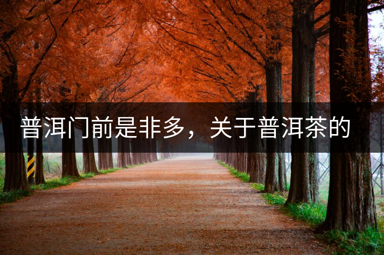 普洱門(mén)前是非多，關(guān)于普洱茶的一些誤區(qū)