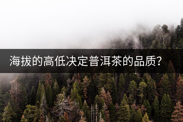 海拔的高低決定普洱茶的品質(zhì)？【附：名山頭茶海拔表】