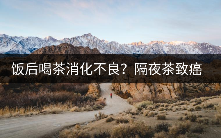 飯后喝茶消化不良？隔夜茶致癌？9個喝茶流言你該好好分個真假