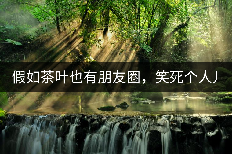 假如茶葉也有朋友圈，笑死個(gè)人兒...