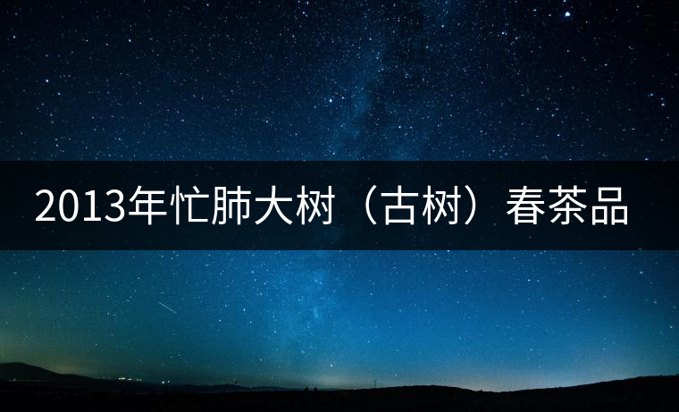 2013年忙肺大樹（古樹）春茶品鑒