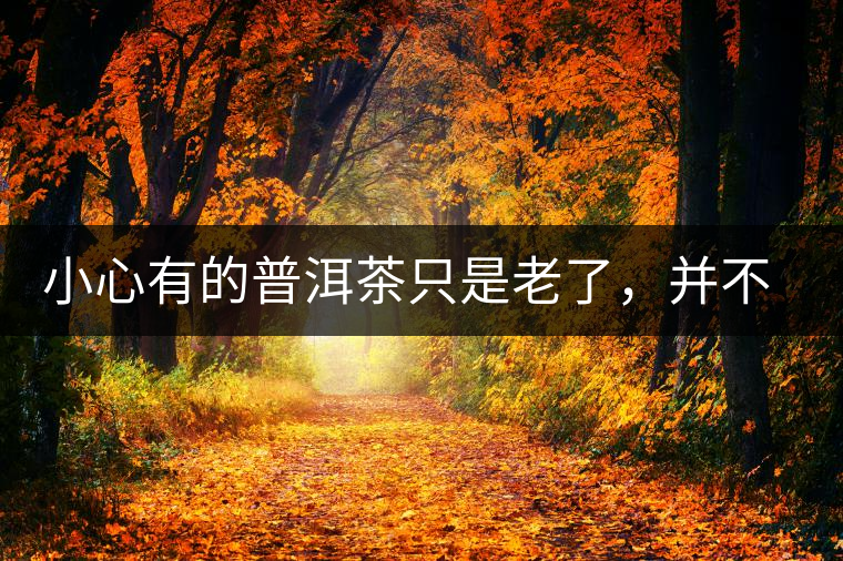 小心有的普洱茶只是老了，并不是好了