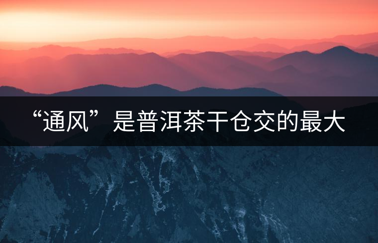 “通風(fēng)”是普洱茶干倉交的最大學(xué)費 “通風(fēng)”是普洱茶干倉交的最大學(xué)費