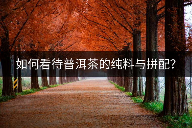 如何看待普洱茶的純料與拼配？