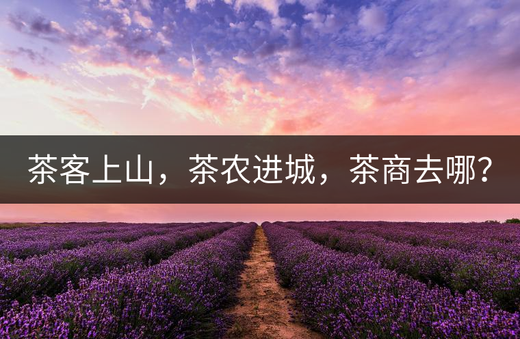 茶客上山，茶農(nóng)進(jìn)城，茶商去哪？