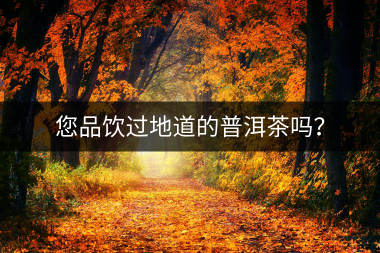 您品飲過地道的普洱茶嗎？