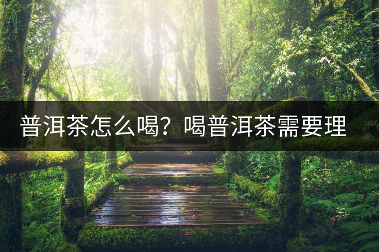 普洱茶怎么喝？喝普洱茶需要理由嗎？