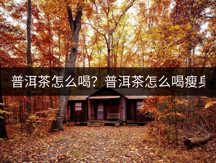 普洱茶怎么喝？普洱茶怎么喝瘦身？