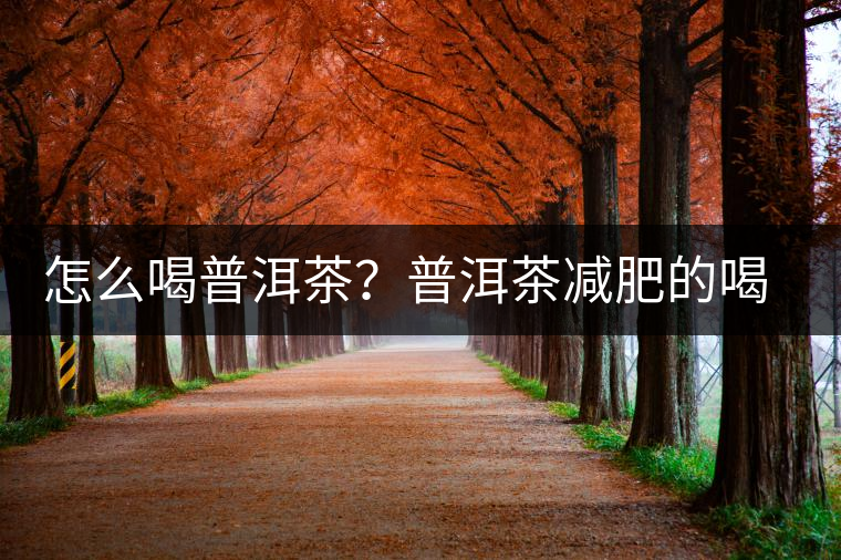 怎么喝普洱茶？普洱茶減肥的喝法