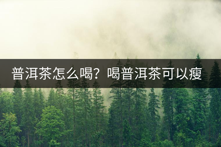 普洱茶怎么喝？喝普洱茶可以瘦腹嗎？