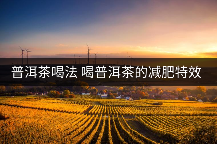 普洱茶喝法 喝普洱茶的減肥特效是什么呢？