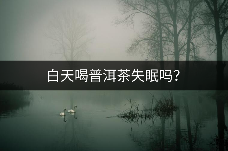 白天喝普洱茶失眠嗎？