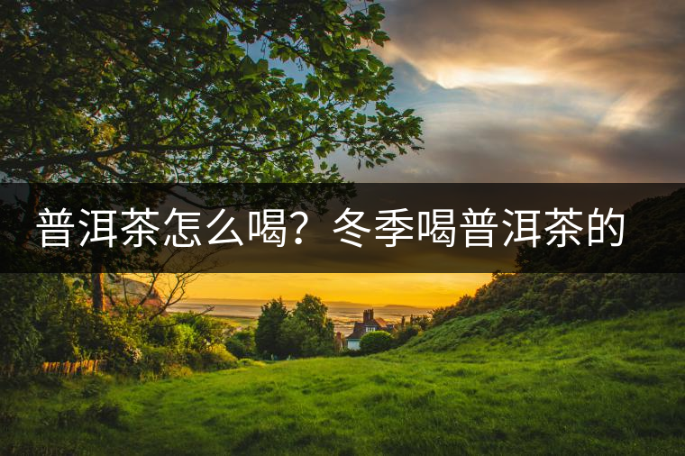 普洱茶怎么喝？冬季喝普洱茶的好處