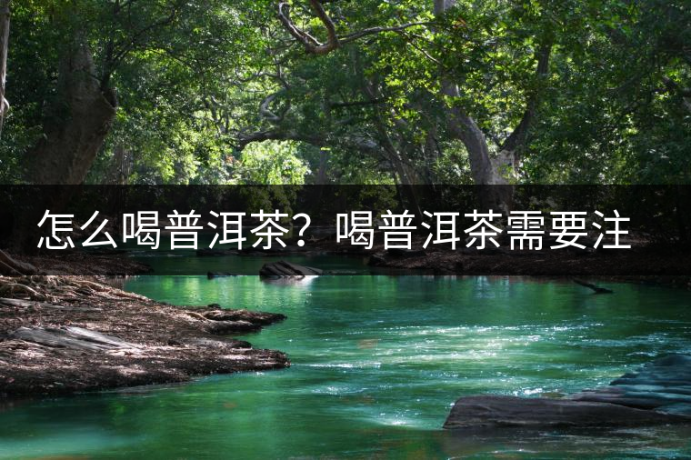 怎么喝普洱茶？喝普洱茶需要注意的要點