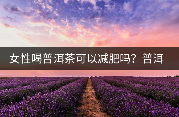 女性喝普洱茶可以減肥嗎？普洱茶的功效又有哪些呢？