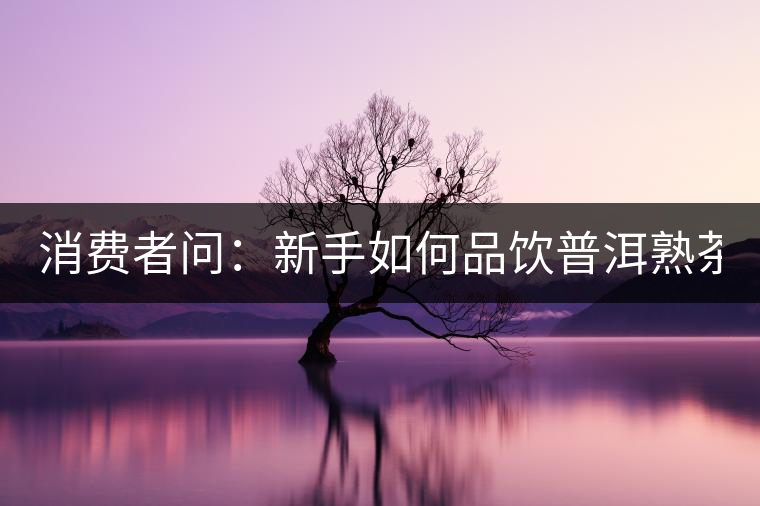 消費(fèi)者問：新手如何品飲普洱熟茶？