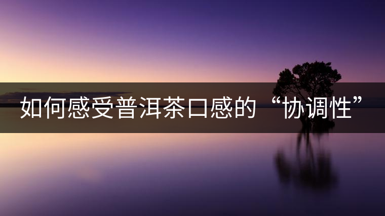 如何感受普洱茶口感的“協(xié)調(diào)性”？