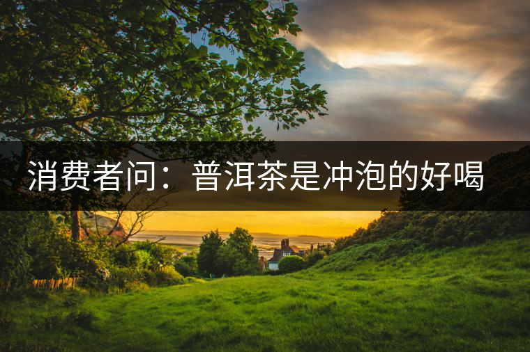 消費(fèi)者問(wèn)：普洱茶是沖泡的好喝？還是煮著喝好？