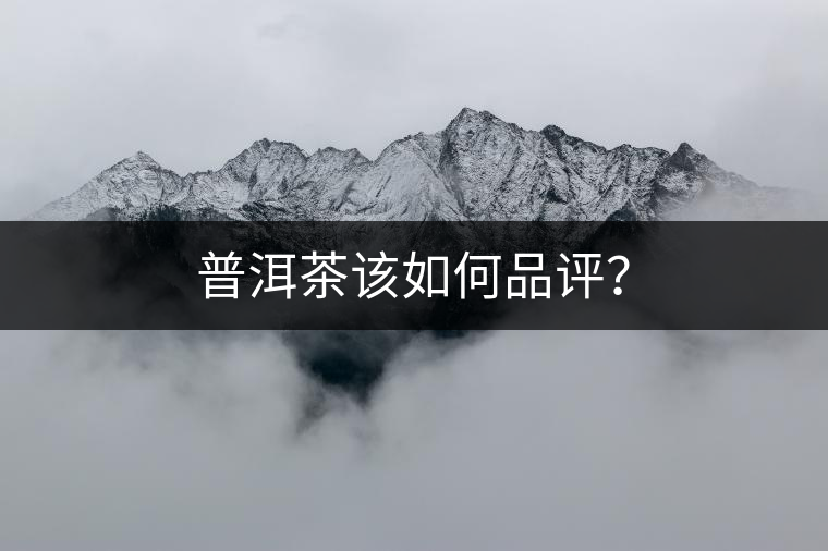 普洱茶該如何品評(píng)？