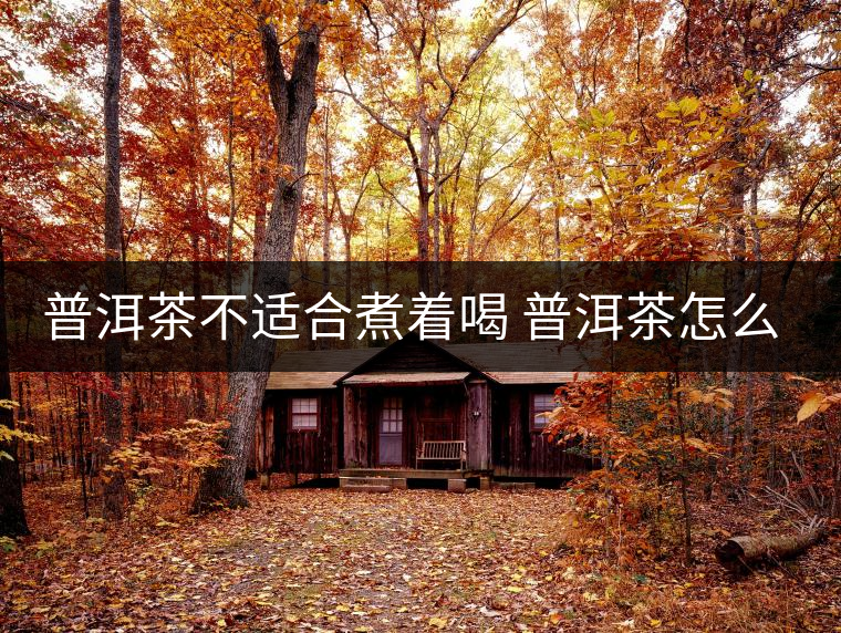 普洱茶不適合煮著喝 普洱茶怎么喝？