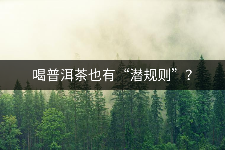 喝普洱茶也有“潛規(guī)則”？