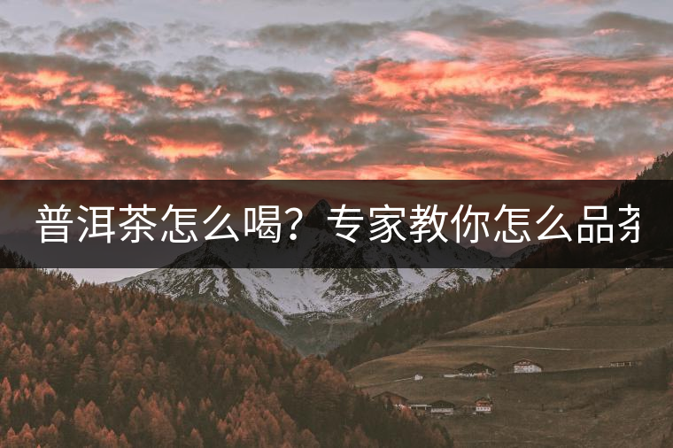 普洱茶怎么喝？專家教你怎么品茶？